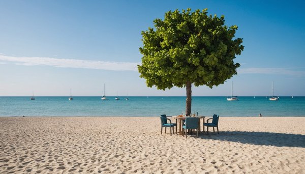 Séjour idyllique sur l'île de ré : découvrez les plages estivales